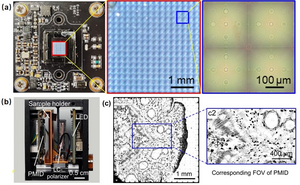 Chip-scale metalens array for polarization-embedded metalens imaging device (PMID) and compact portable microscope system (PMS).
