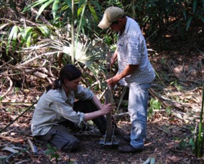 Terrestrial Coring Techniques
