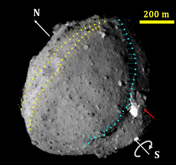 Asteroid Ryugu