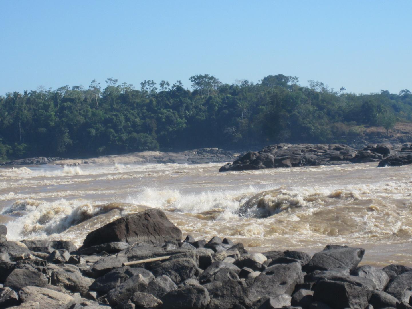 Archeological Plant Remains Point to Southwest Amazonia as Key Center of Early Crop Domestication