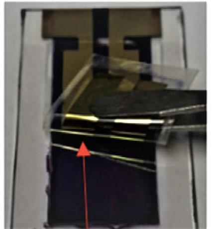 Fabrication of a Photoelectrochemical Device
