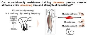 Effects of eccentric-only resistance training on hamstring muscle stiffness, size, and strength