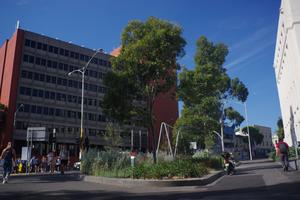 Image of study site in Melbourne, Australia