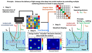 Principle of “Enhance the delivery of light energy ultra-deep into turbid medium by controlling multiple scattering photons to travel in open channels”