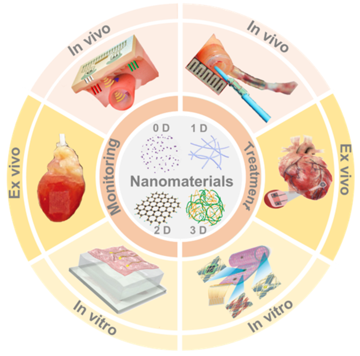 Small materials may be key to reducing cardiovascular disease deaths