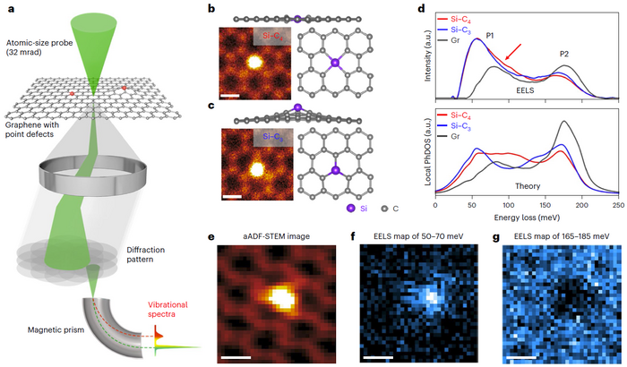 Vibrational spectroscopy of substitutional Si impurities in graphene with different bonding configurations.