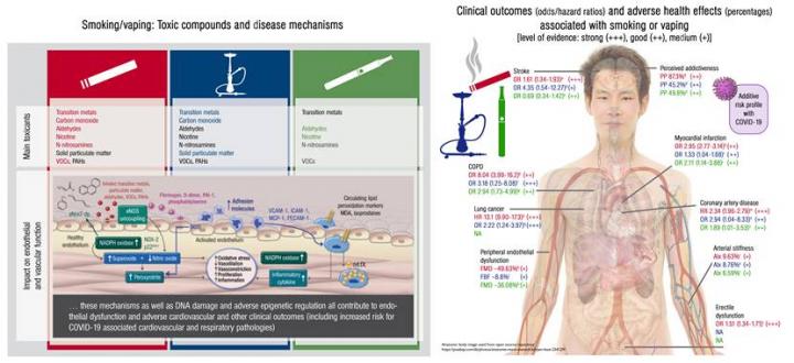 World's First Comparison of Dangers of Tobacco Cigarettes, E-Cigarettes and Waterpipes