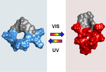 The GS-DProSw Molecule in Its Inactive Form Can Be Activated By Visible Light