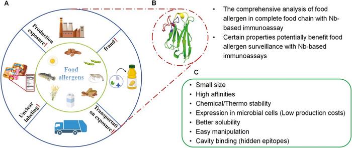 The beneficial characteristics of Nbs for food allergen surveillance.