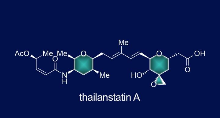 Thailanstatin A