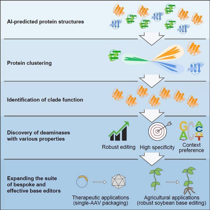 functional protein diagram