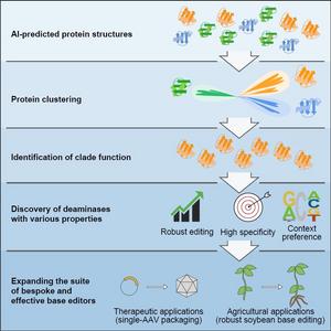 AI-assisted structural predictions and alignments establishes a new protein classification and functional mining method