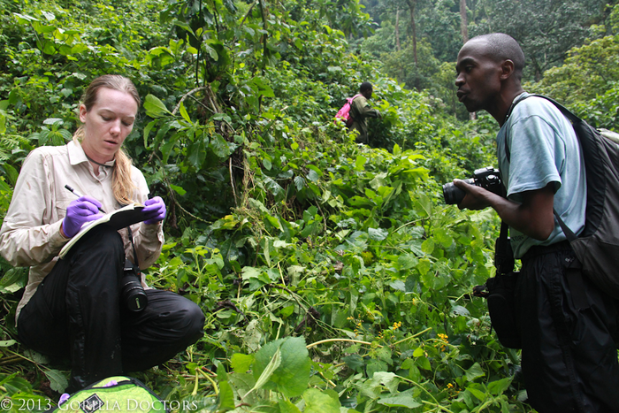 Sampling plants for gorillas