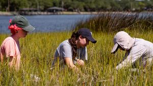 UNF researchers in salt marsh