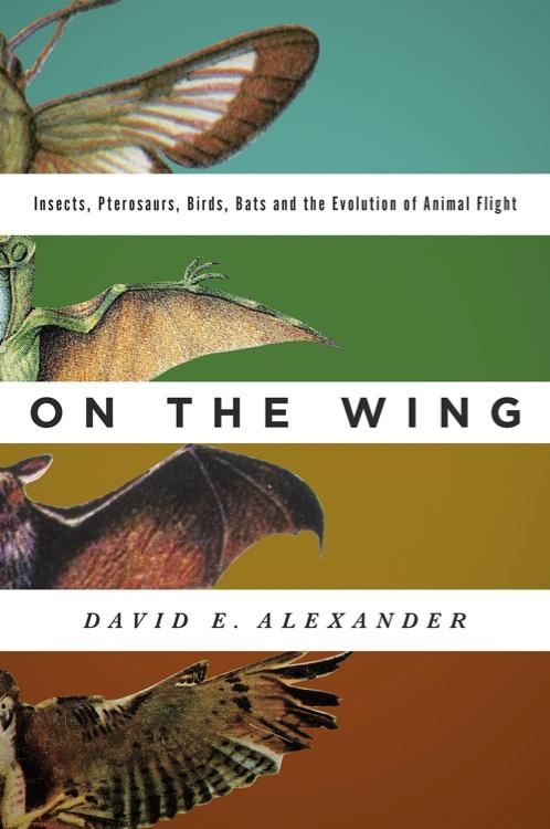 Cover of On the Wing: Insects, Pterosaurs, Birds, Bats and the Evolution of Flight'