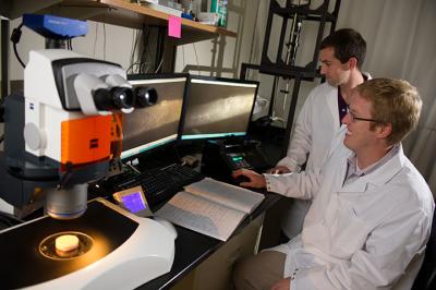 Exploring Vascular Transport