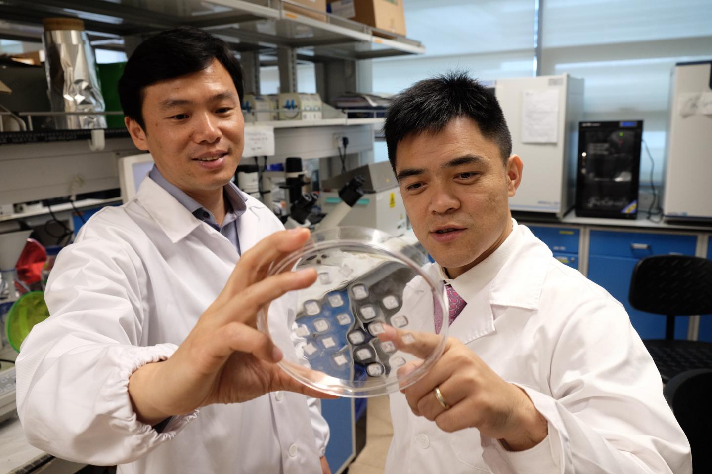 Prof Chen Peng (left) Holding the New Microneedle Fat Burning Patch with Asst Prof Xu Chenjie