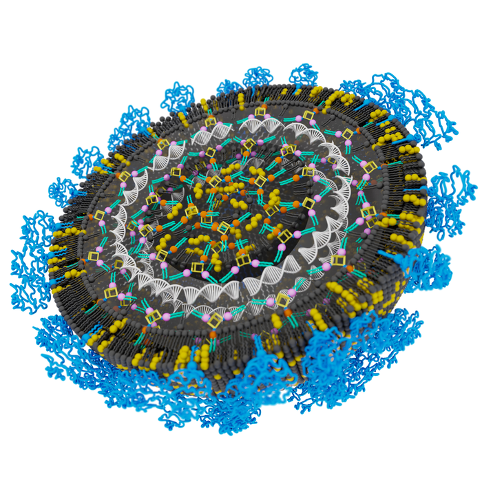 XMAN lipid nanoparticle