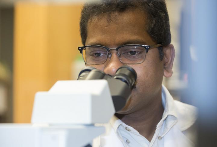 Jairam K.P. Vanamala, Penn State