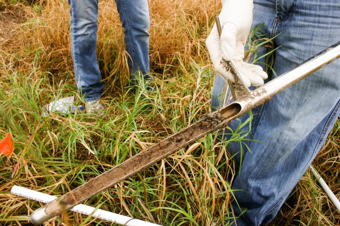 Soil Sampling Rio Grande
