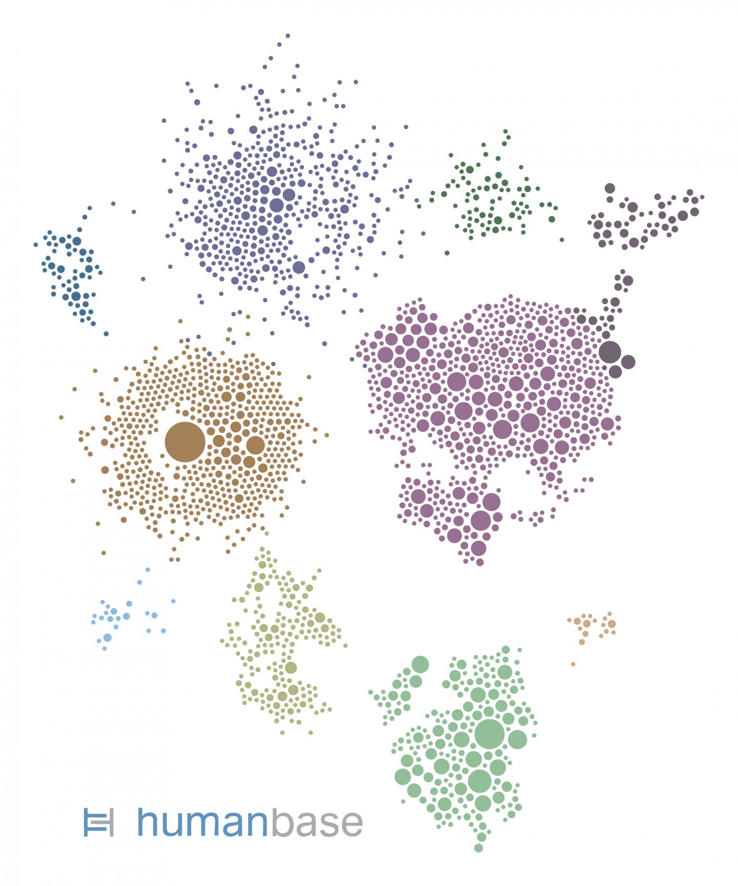 Gene Network