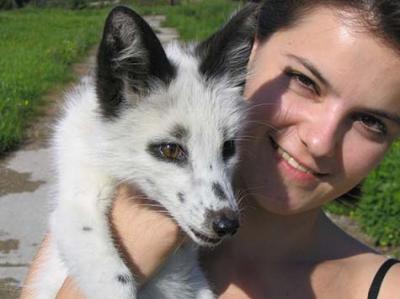 A Domestication Experiment