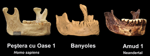Banyoles comparison