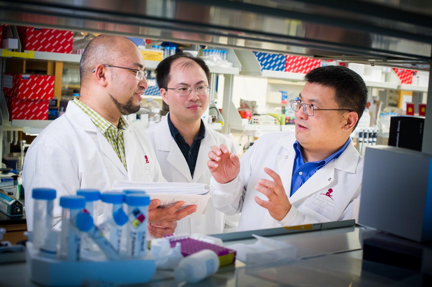 New Study from St. Jude Children's Research Hospital