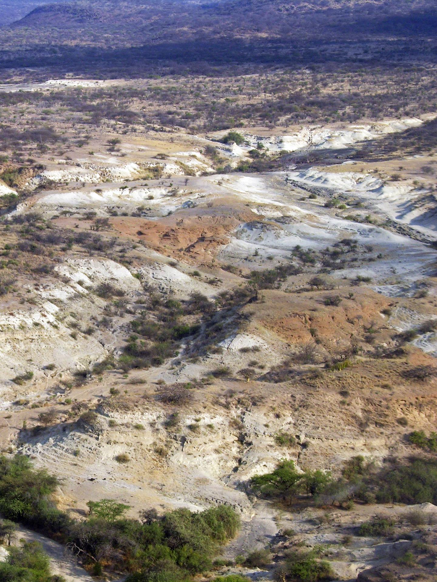 Aerial View of red-brown Oltulelei Formation Channel Deposits