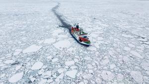 Polarstern in Arctic sea ice