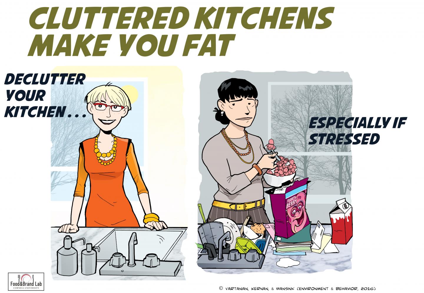 Cluttered Kitchens Can Make You Fat!
