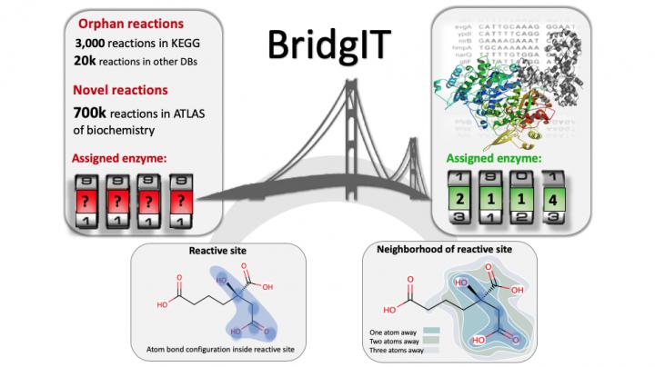 A Diagram Showing BridgIT's Features
