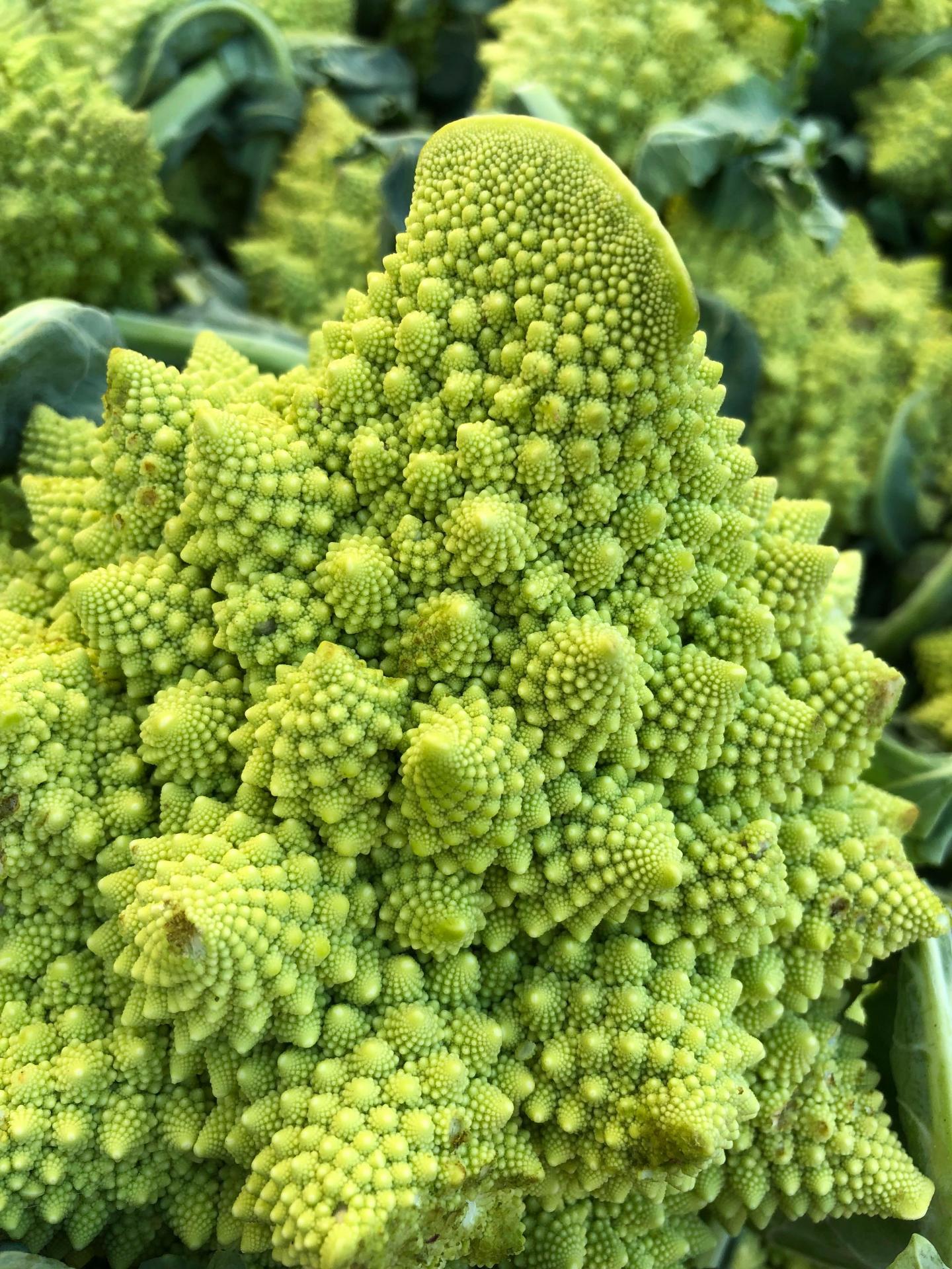 Photo of a Romanesco