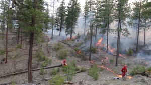 A prescribed fire at West Vaseux Lake in the Okanagan