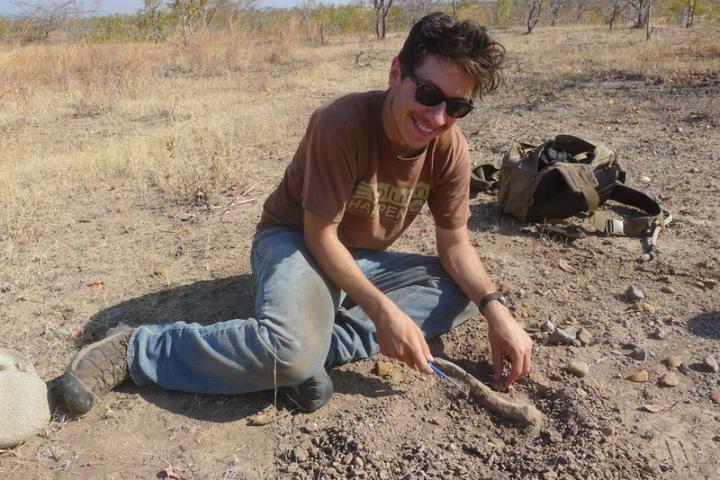 Image 1 Brandon Peecook Excavating a Therapsid (Mammal-relative) Femur