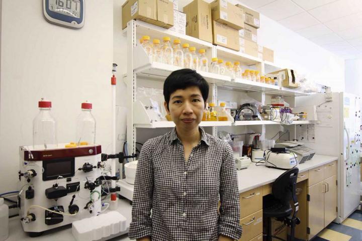 Mee-Ngan F. Yap, Ph.D., Saint Louis University  