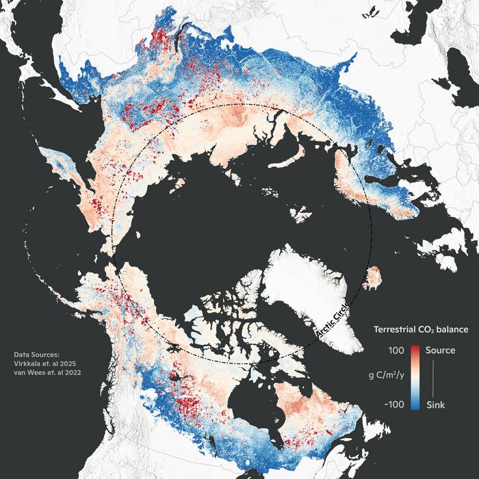 Average terrestrial CO2 balance, 2001-2020