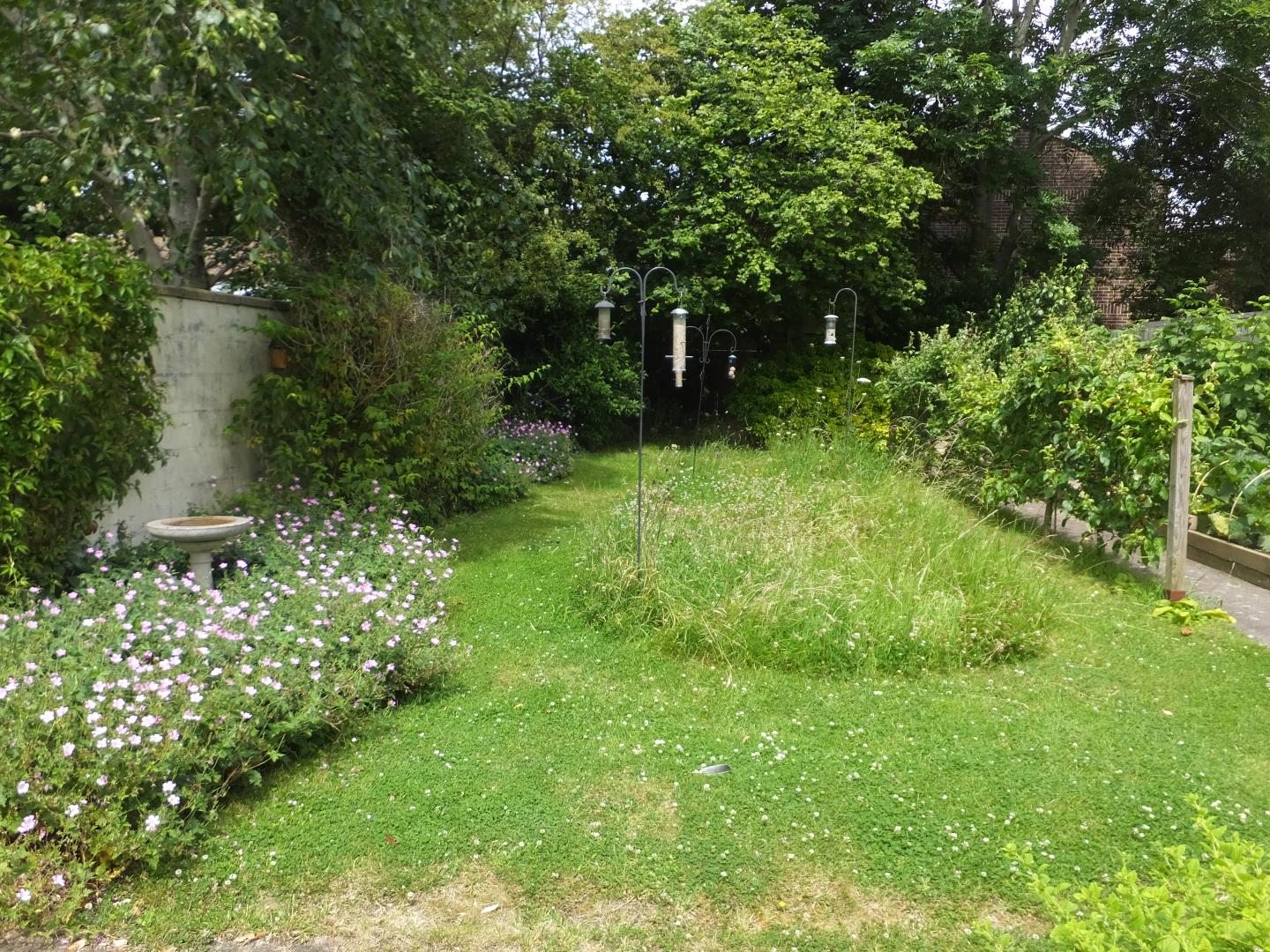 Pioneering research reveals gardens are secret powerhouse for pollinators