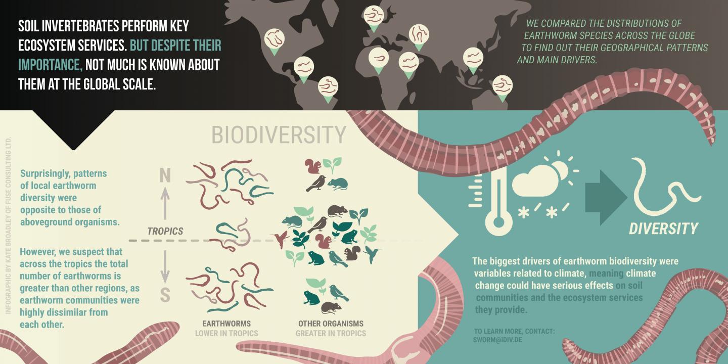 Global Earthworm Biodiversity Patterns Influenced by Climate (1 of 1)