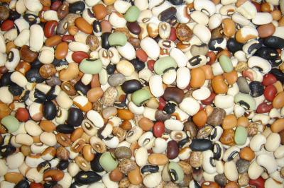 Cowpea