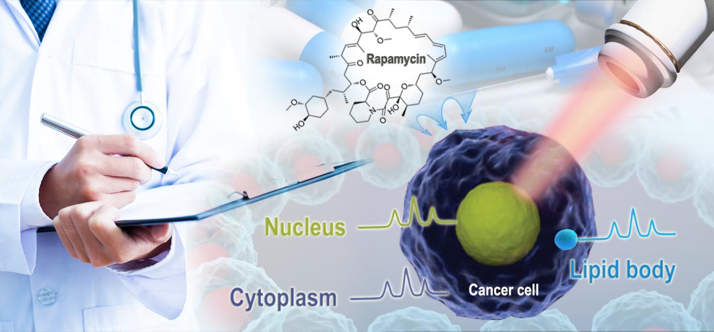 D<sub>2</sub>O-probed CANcer Susceptibility Test Ramanometry (D<sub>2</sub>O-CANST-R)