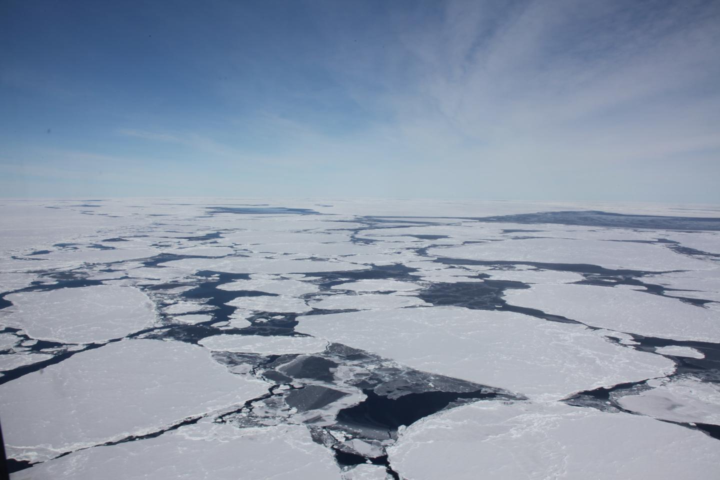 Sea Ice Floes
