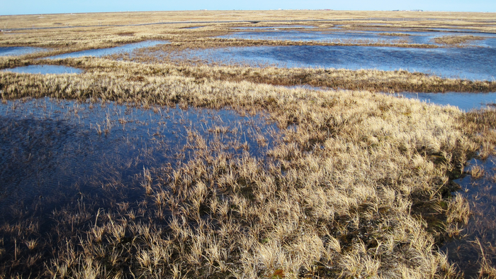 Ice-wedges in permafrost