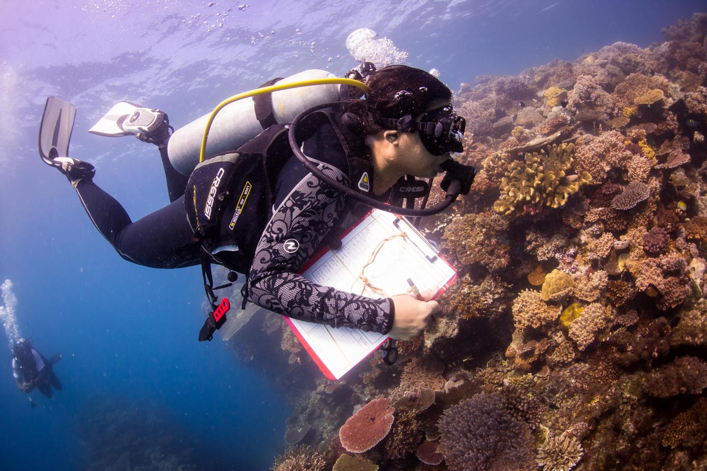 Coral Researcher