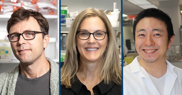 Adriana Di Polo (center), a CRCHUM researcher, professor at Universite de Montreal and holder of a Canada Research Chair in glaucoma and age-related neurodegeneration, with Luis Alarcon-Martinez (left) and Yukihiro Shiga (right), members of Di Polo's lab 