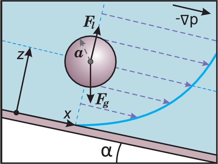 A Migration of a Particle to An Equilibrium Position in a Microchannel