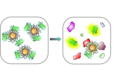 Gold Nanoparticles 'Smell' Cancer
