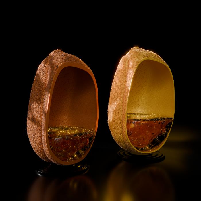 artist's rendition of seed oil content