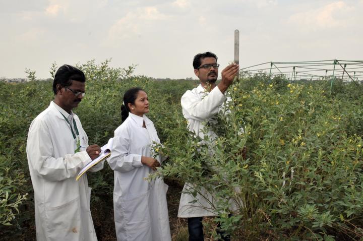 Researchers Milind and Sathyanarayana with Sharma, American Society of Agronomy 