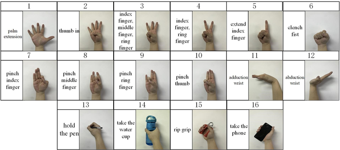 Gesture diagram of the collection